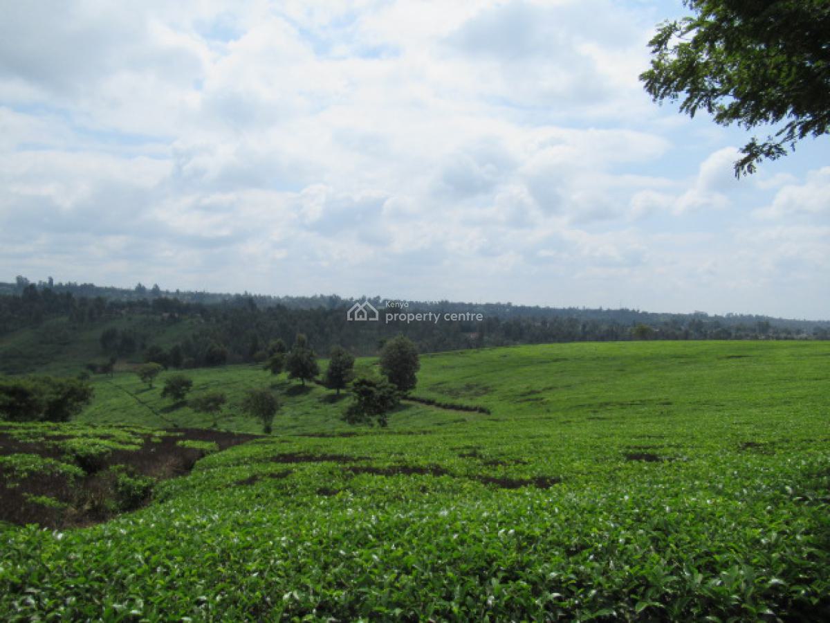 400 Acres of a Tea Farm, Off Kiambu Rd, Cianda, Kiambu, Land for Sale