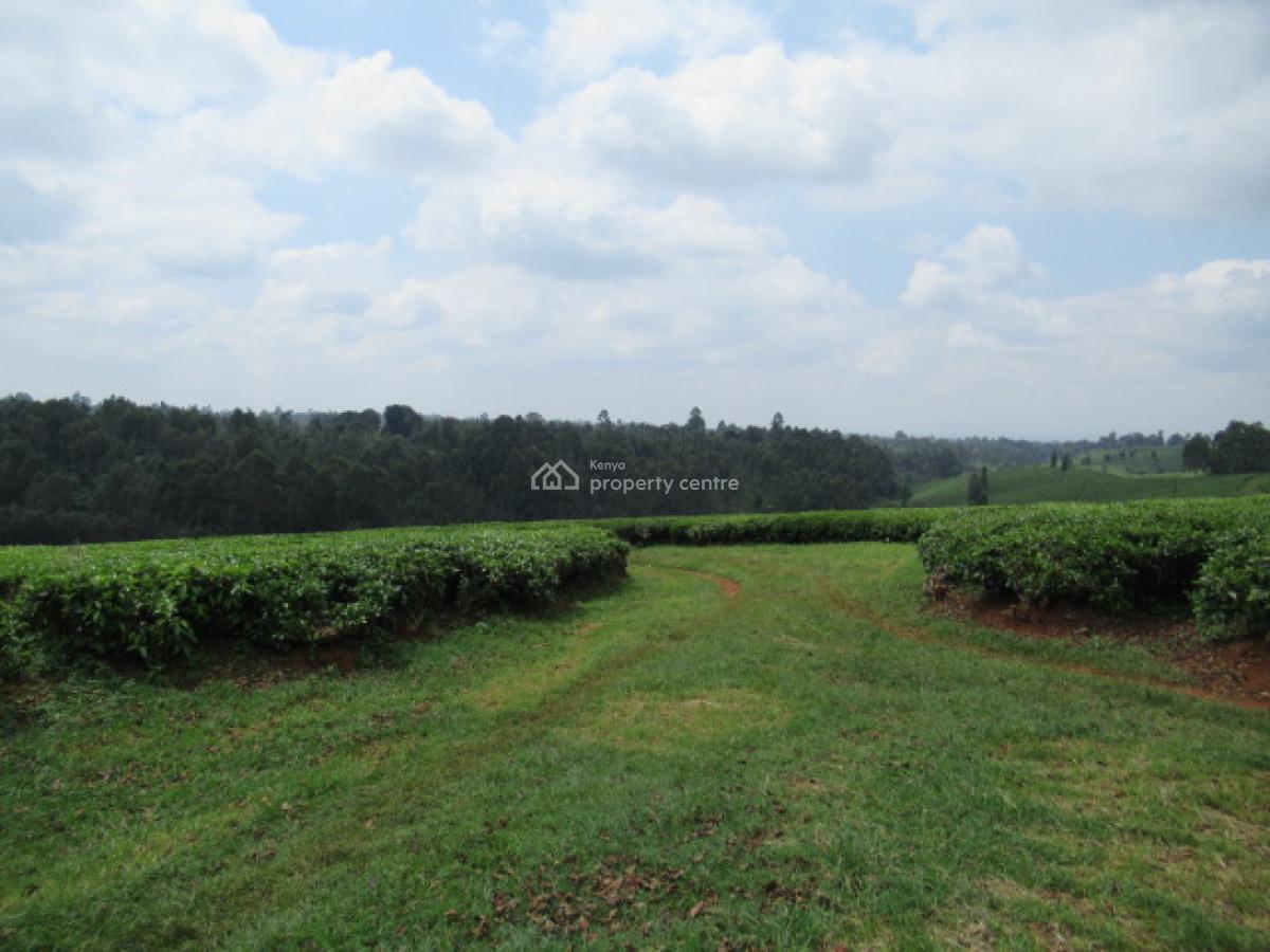 400 Acres of a Tea Farm, Off Kiambu Rd, Cianda, Kiambu, Land for Sale