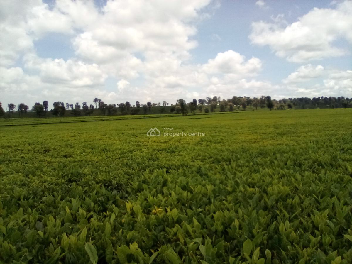 400 Acres of a Tea Farm, Off Kiambu Rd, Cianda, Kiambu, Land for Sale