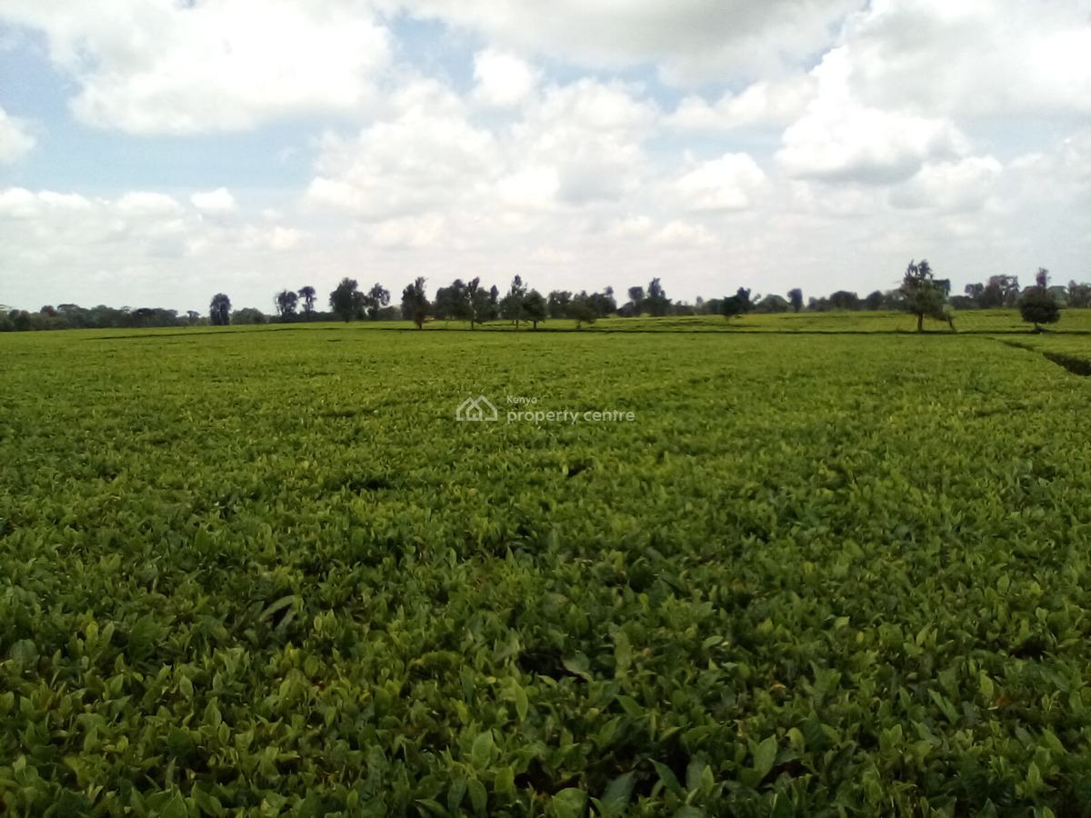 400 Acres of a Tea Farm, Off Kiambu Rd, Cianda, Kiambu, Land for Sale