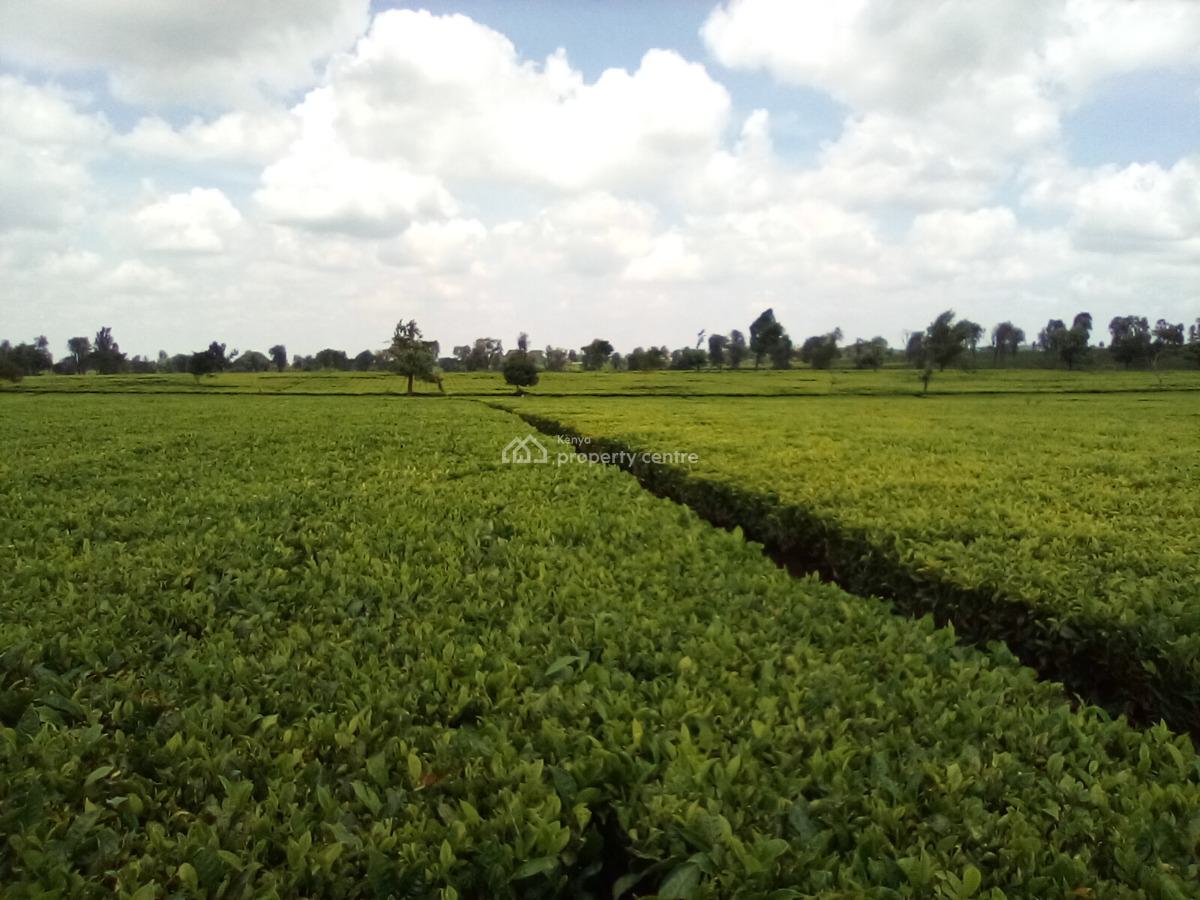 400 Acres of a Tea Farm, Off Kiambu Rd, Cianda, Kiambu, Land for Sale
