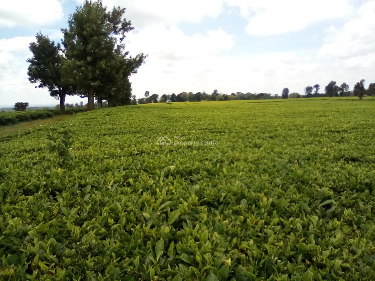 400 Acres of a Tea Farm, Off Kiambu Rd, Cianda, Kiambu, Land for Sale