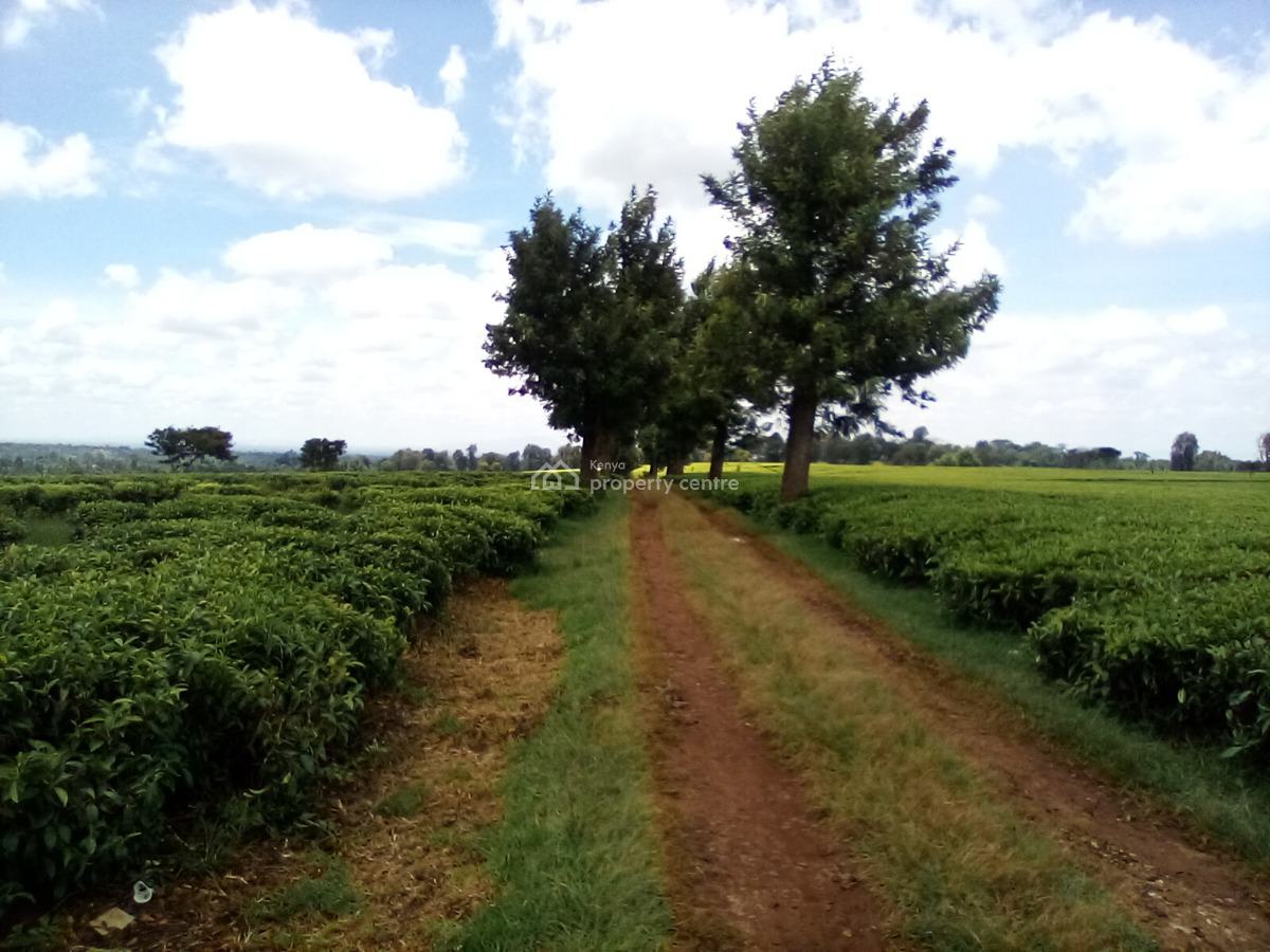 400 Acres of a Tea Farm, Off Kiambu Rd, Cianda, Kiambu, Land for Sale