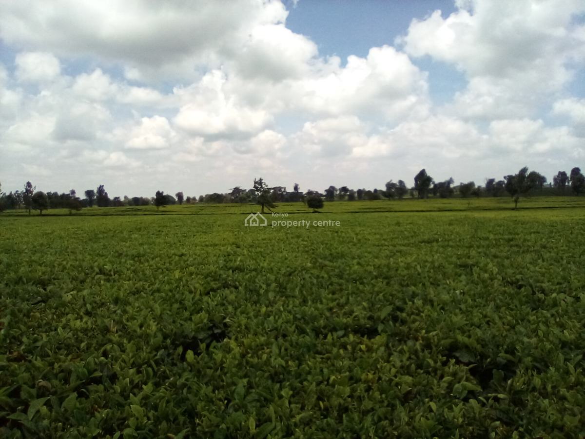 400 Acres of a Tea Farm, Off Kiambu Rd, Cianda, Kiambu, Land for Sale