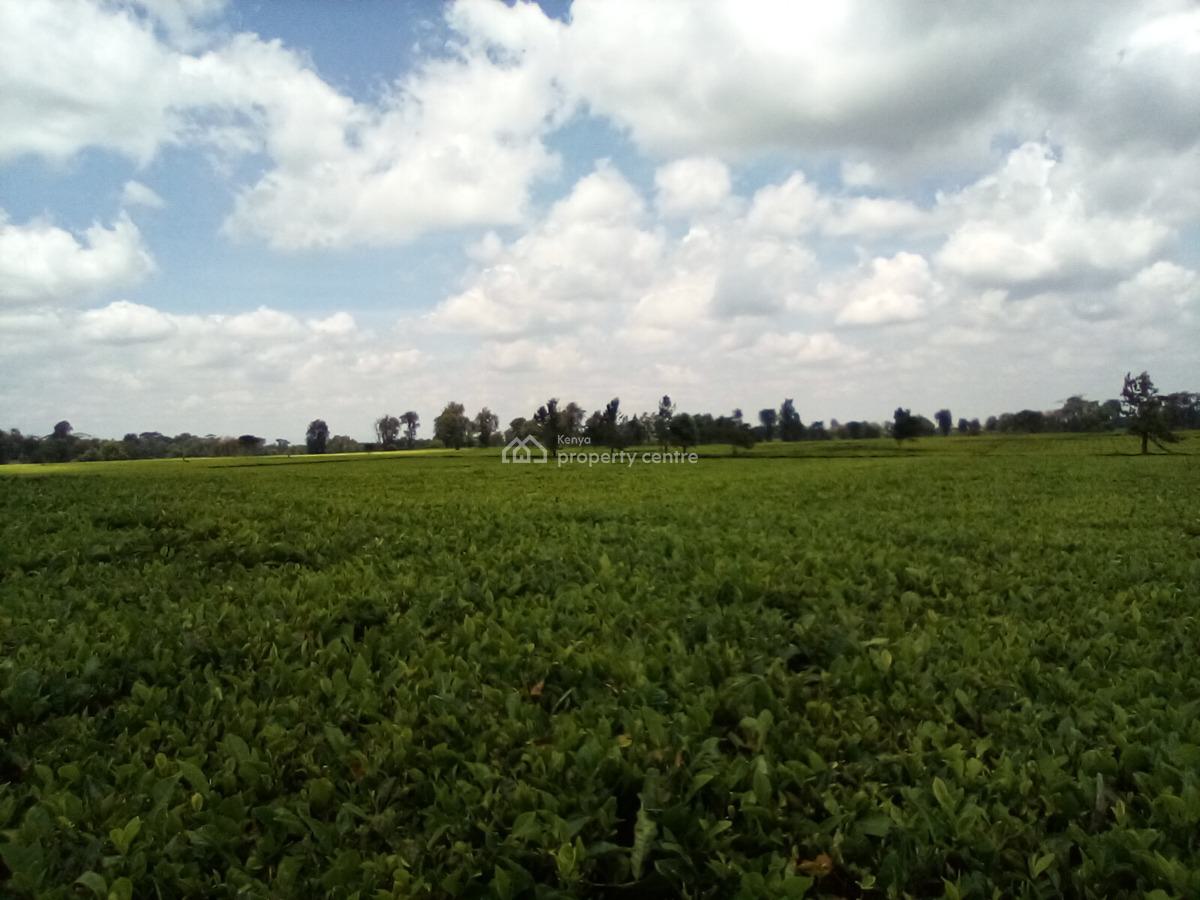 400 Acres of a Tea Farm, Off Kiambu Rd, Cianda, Kiambu, Land for Sale
