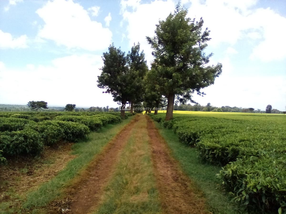 400 Acres of a Tea Farm, Off Kiambu Rd, Cianda, Kiambu, Land for Sale