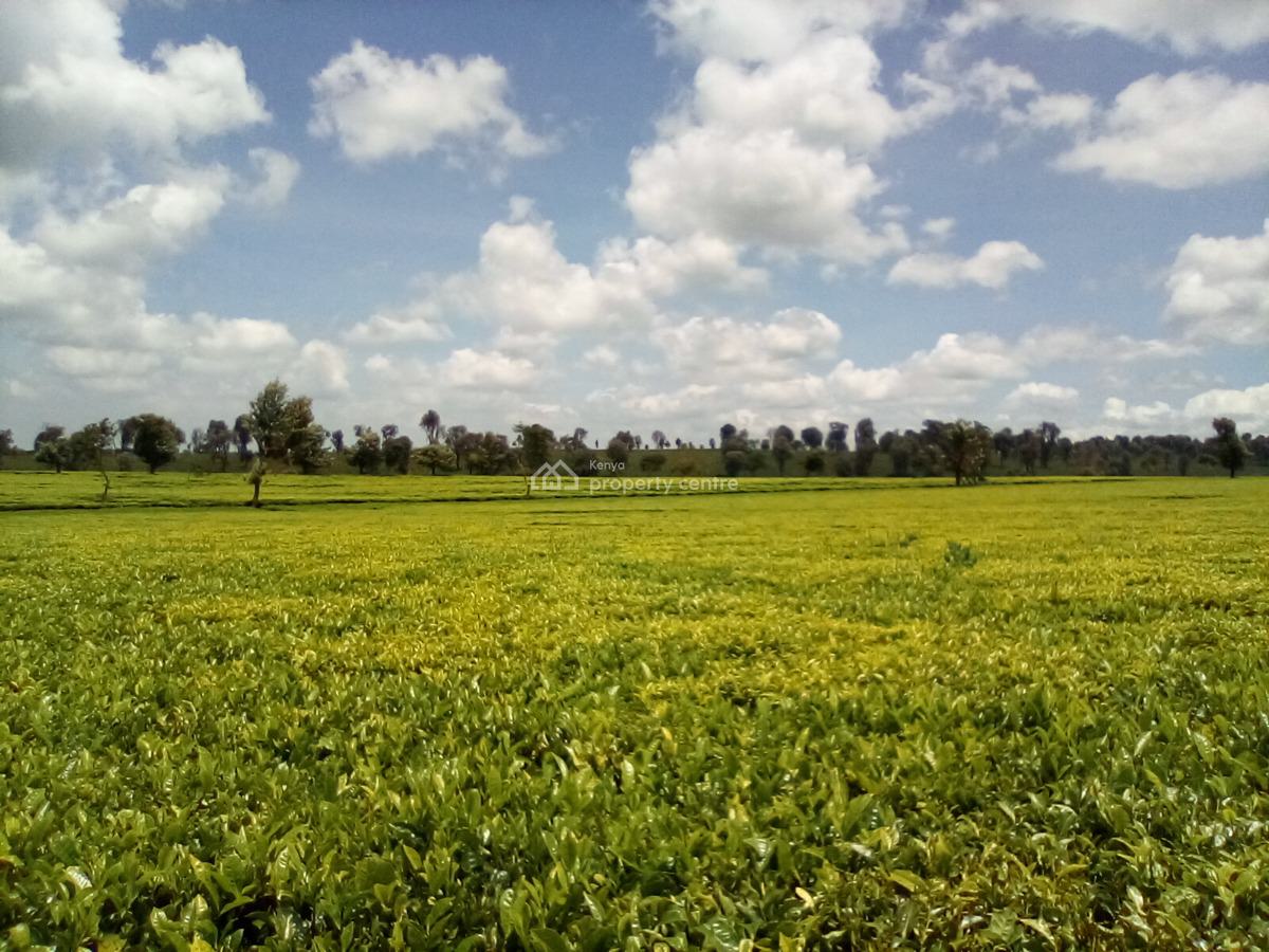 400 Acres of a Tea Farm, Off Kiambu Rd, Cianda, Kiambu, Land for Sale