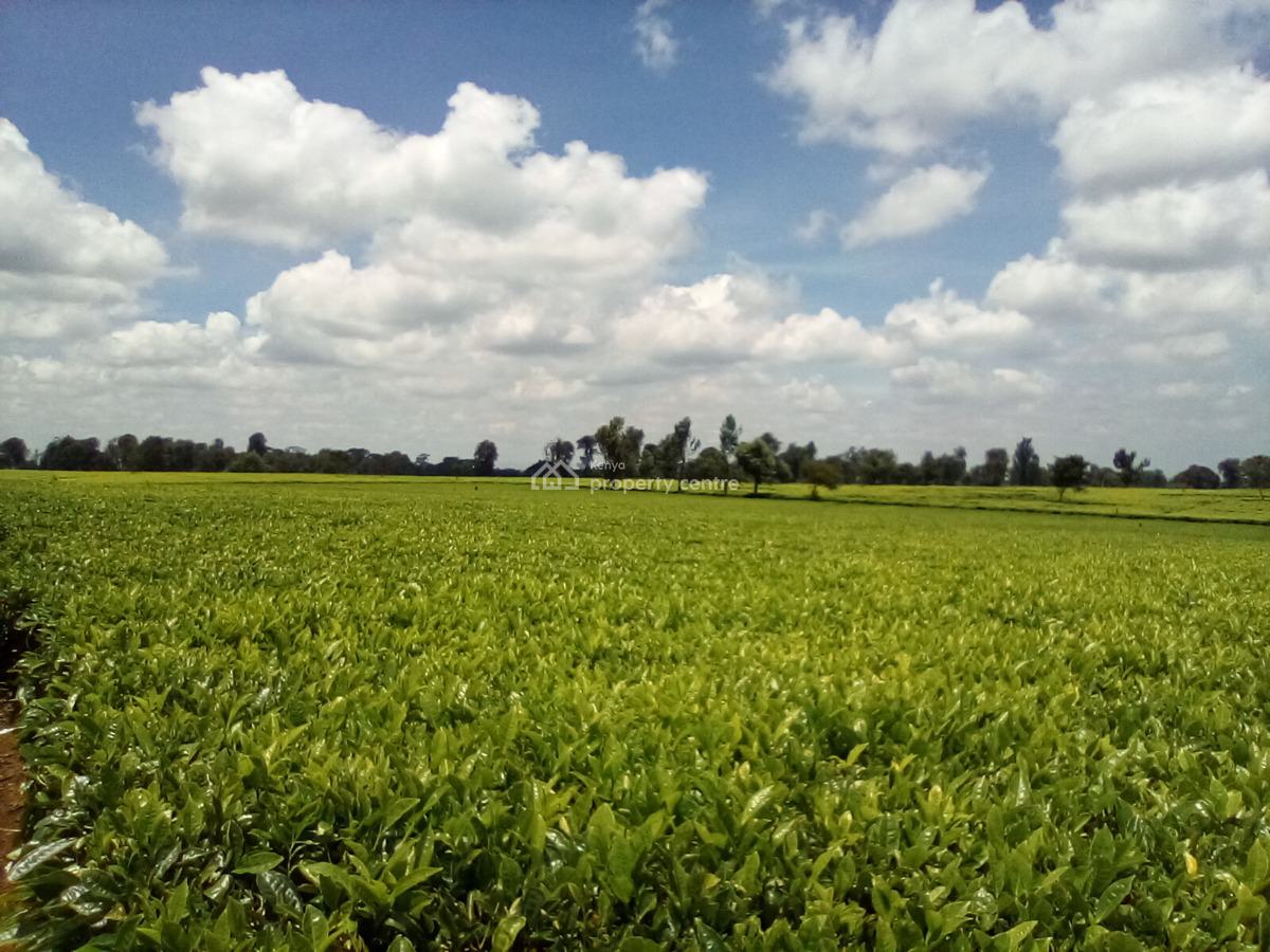 400 Acres of a Tea Farm, Off Kiambu Rd, Cianda, Kiambu, Land for Sale