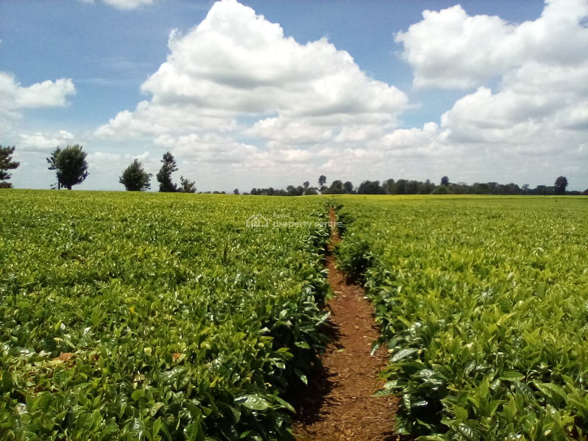 400 Acres of a Tea Farm, Off Kiambu Rd, Cianda, Kiambu, Land for Sale