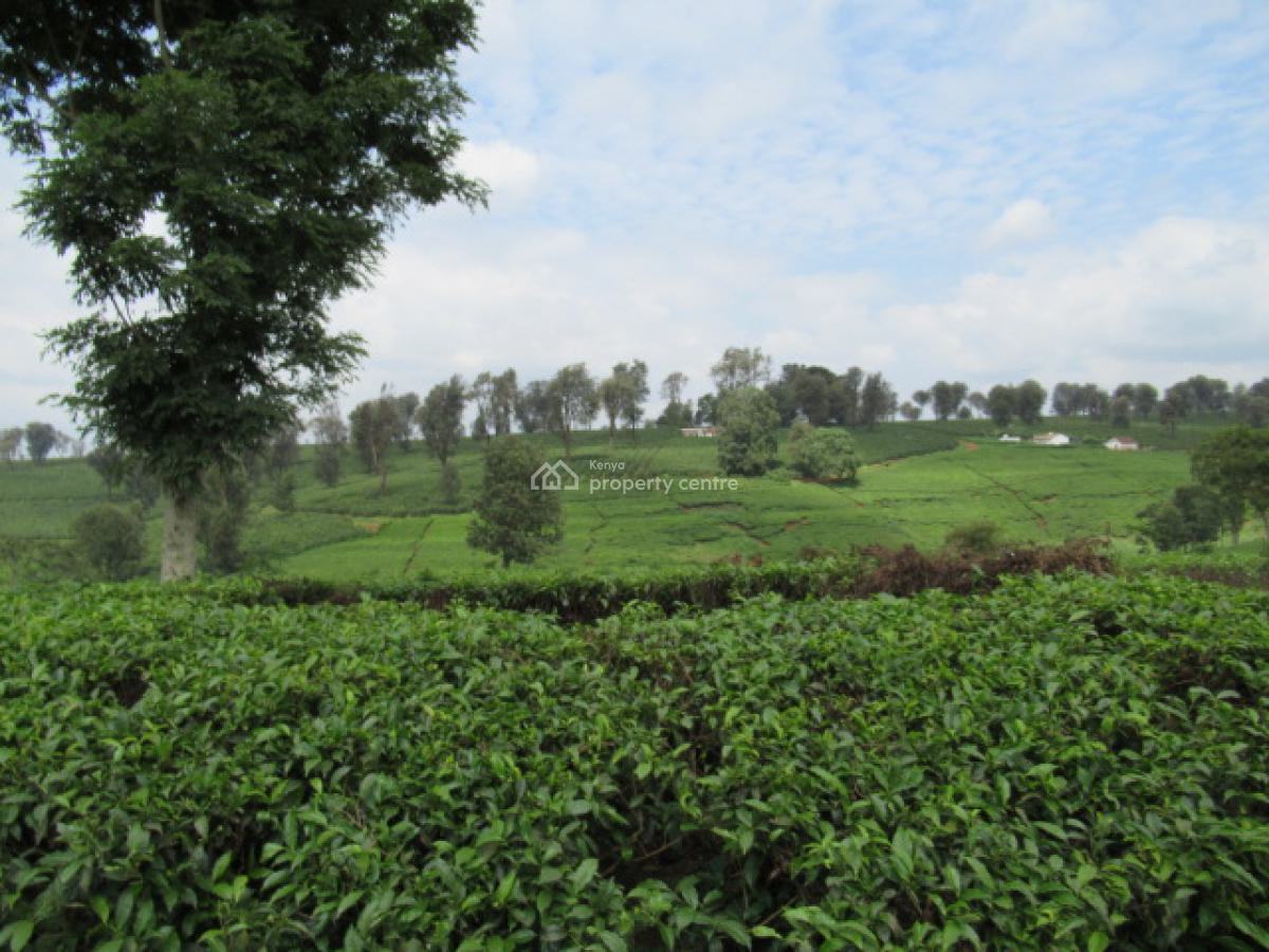 400 Acres of a Tea Farm, Off Kiambu Rd, Cianda, Kiambu, Land for Sale