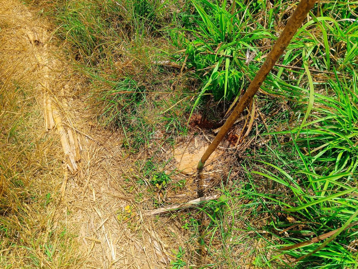 Build Ready Plots Available in Kikuyu!, Kwa-ngando, Gikambura, Kikuyu, Kiambu, Residential Land for Sale