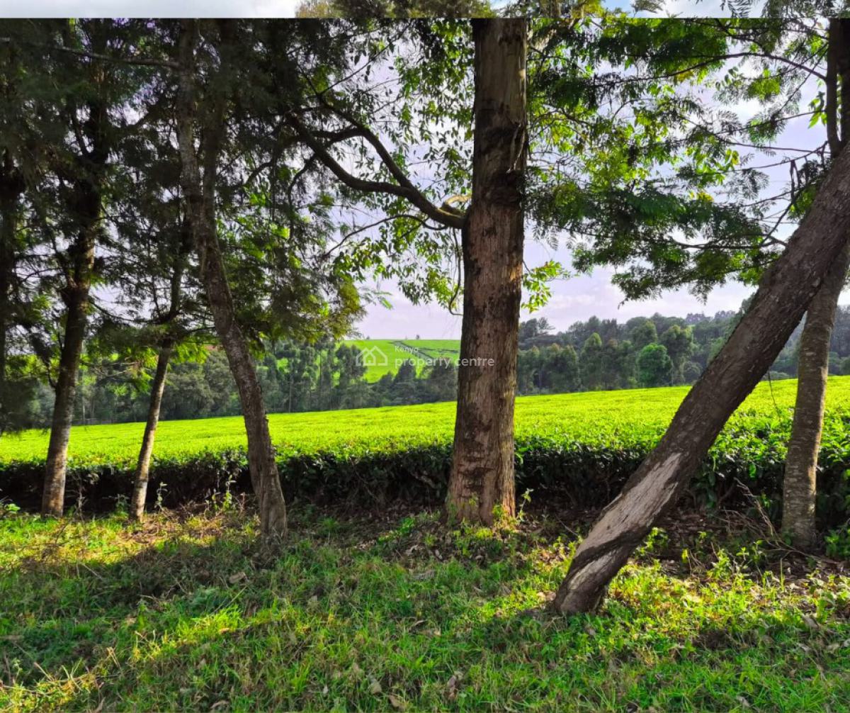 Prime Land  in Riara Ridge, Tigoni, Tigoni, Tigoni, Kiambu, Mixed-use Land for Sale