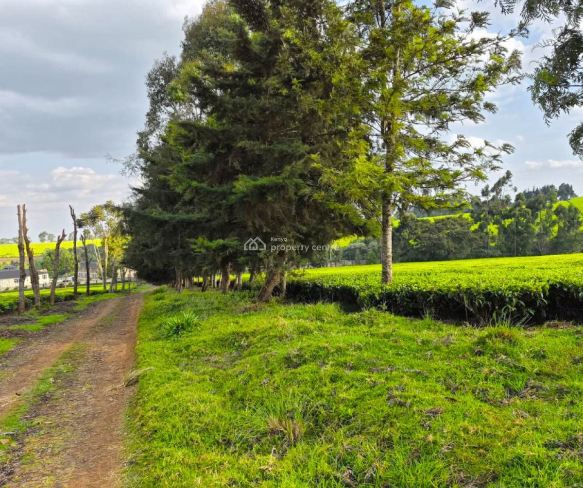 Prime Land  in Riara Ridge, Tigoni, Tigoni, Tigoni, Kiambu, Mixed-use Land for Sale