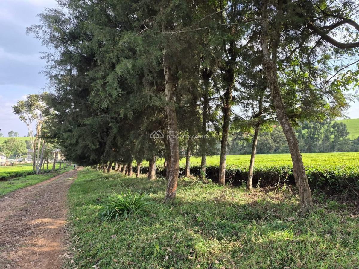 Prime Land  in Riara Ridge, Tigoni, Tigoni, Tigoni, Kiambu, Mixed-use Land for Sale