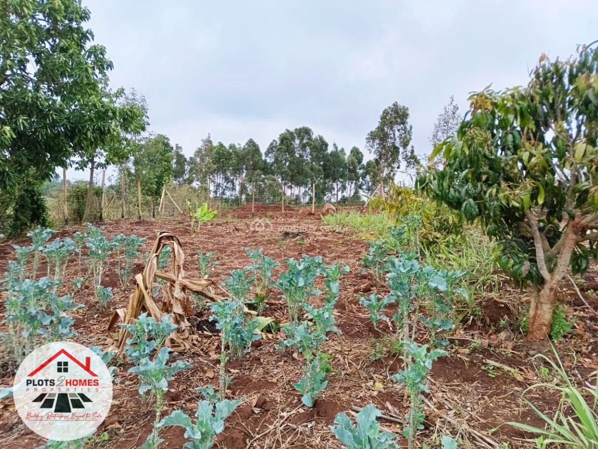 Build-ready Residential Plot Available in Kikuyu, Migumoini!, Migumoini, Kamangu, Kikuyu, Kiambu, Residential Land for Sale