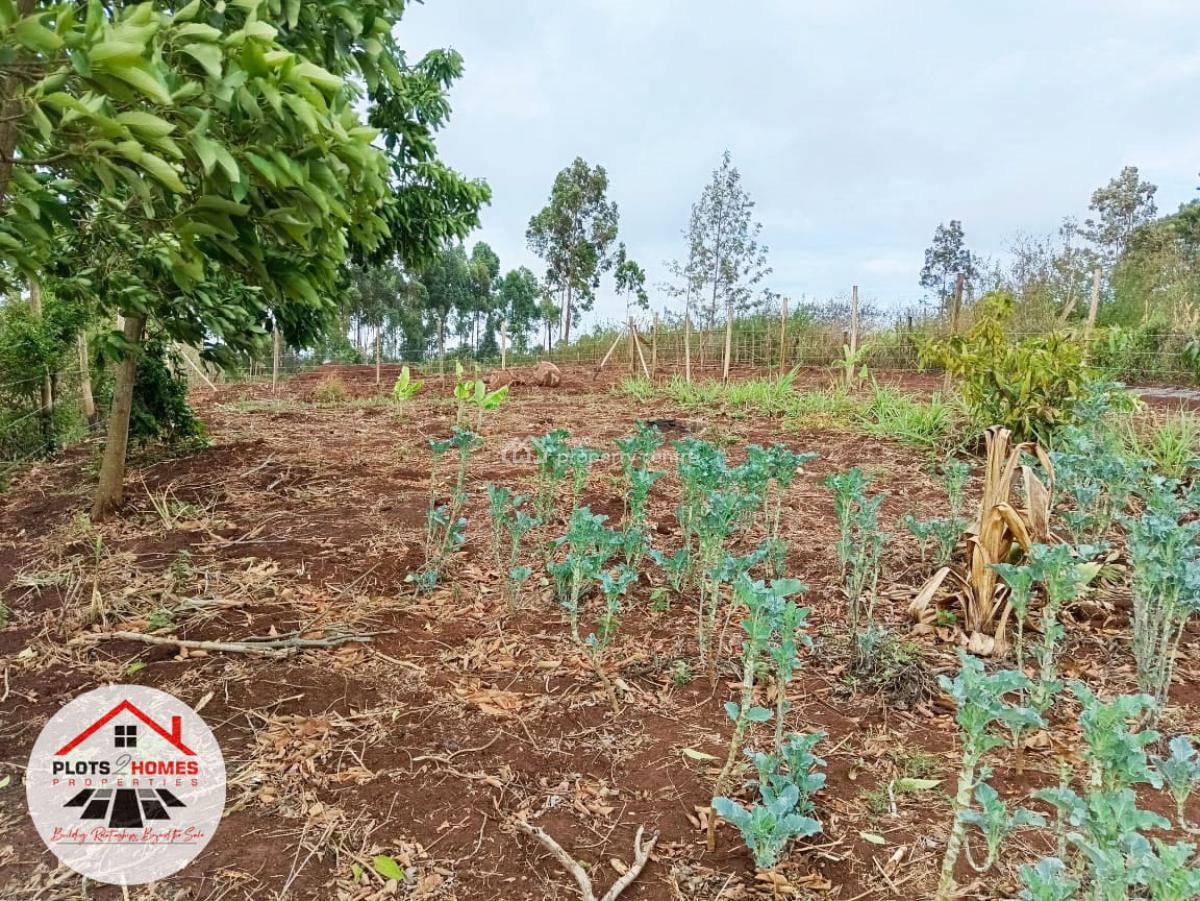 Build-ready Residential Plot Available in Kikuyu, Migumoini!, Migumoini, Kamangu, Kikuyu, Kiambu, Residential Land for Sale