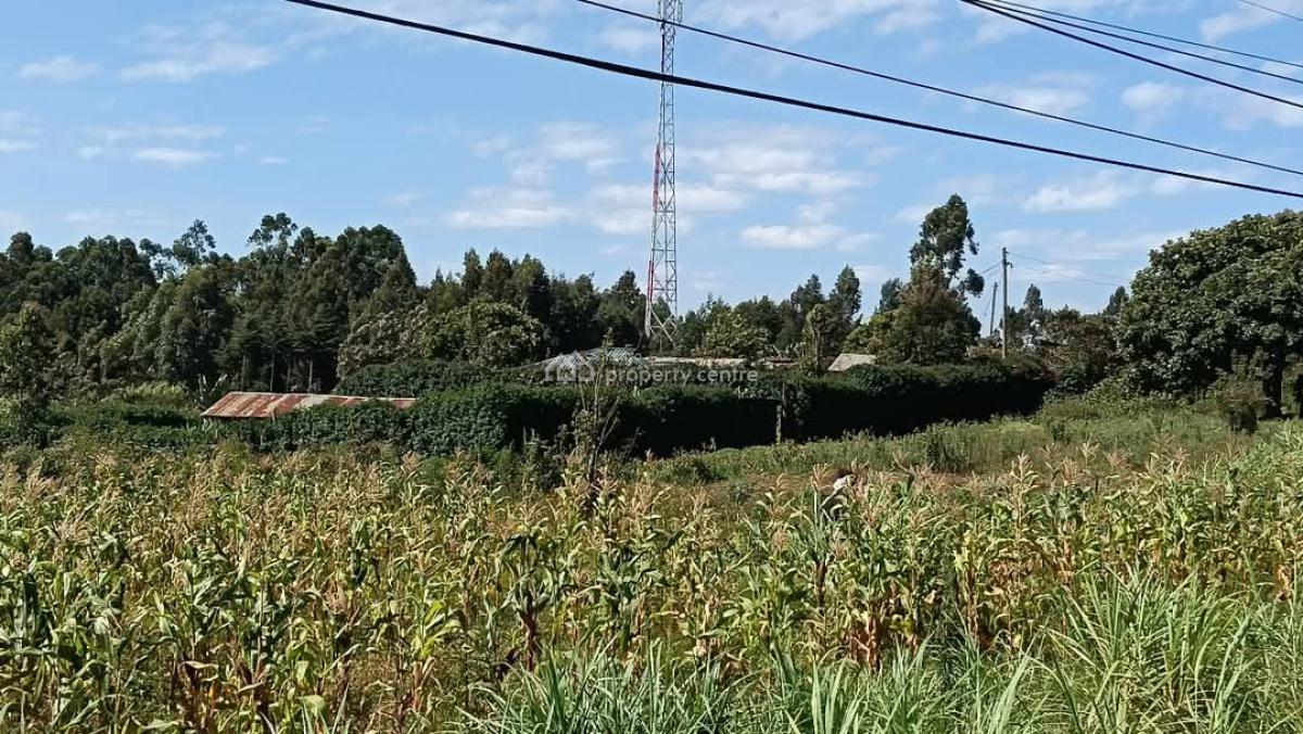 Prime Quarter Acre Fronting The Tarmac Road in Gikambura Kikuyu., Kikuyu, Kiambu, Land for Sale