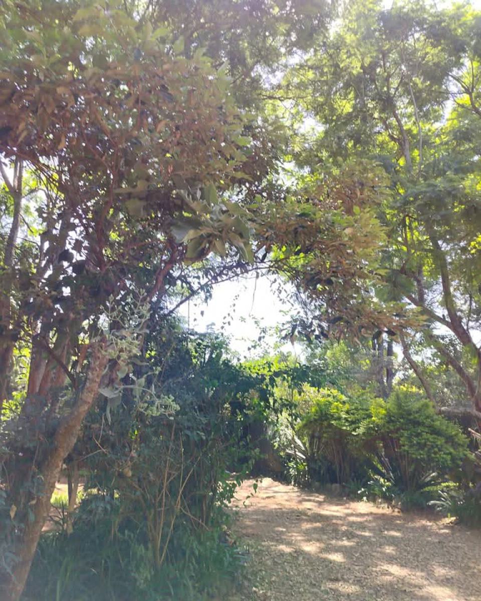 Three Quarter Acre Land with 3 Bedroom House Plus Dsq in Karen, Karen, Nairobi, Land for Sale