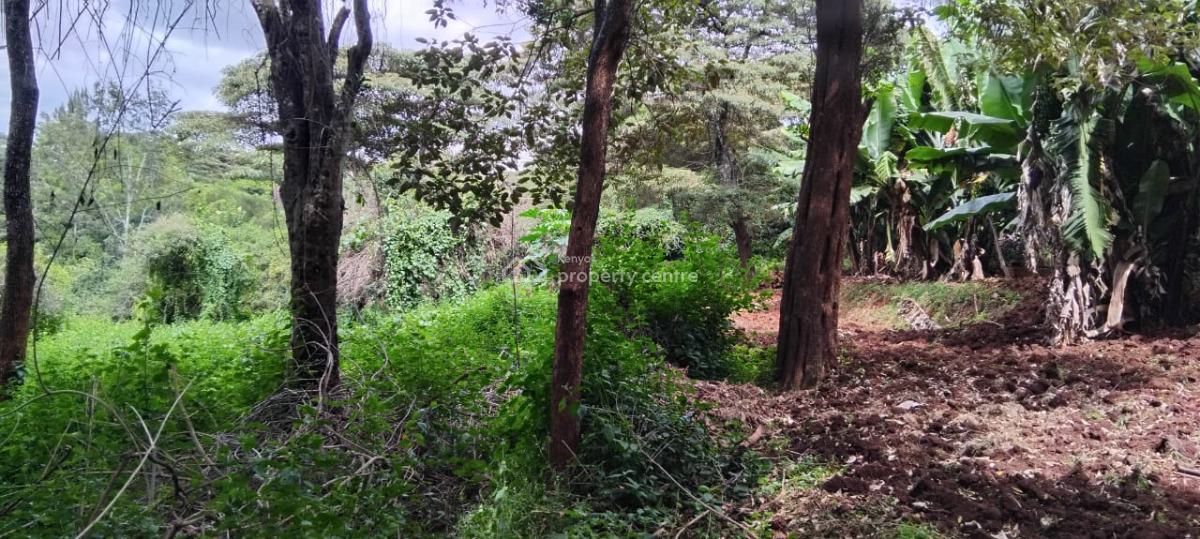 2-acre Land, Near Giraffe Centre, Karen, Nairobi, Mixed-use Land for Sale