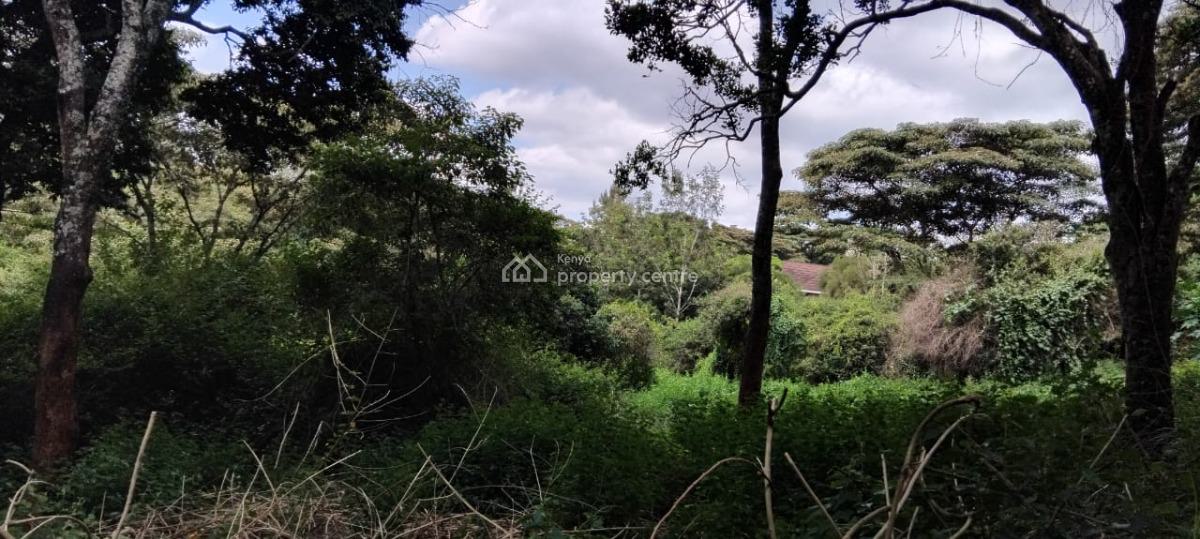 2-acre Land, Near Giraffe Centre, Karen, Nairobi, Mixed-use Land for Sale