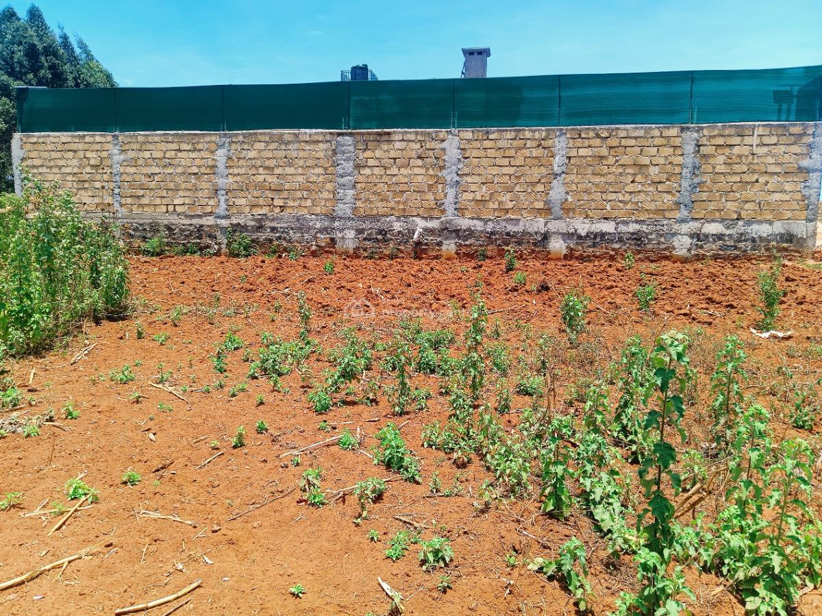 Verified 50 X 100 Ft Plot Available -- Title Deed Ready  Kes 4m, Beverly Gardens Estate, Jambu Tv, Gikambura, Kikuyu, Kiambu, Residential Land for Sale