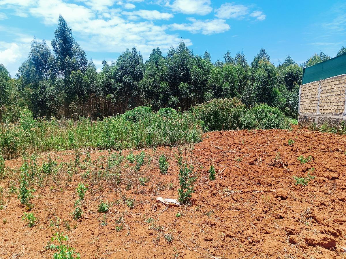 Verified 50 X 100 Ft Plot Available -- Title Deed Ready  Kes 4m, Beverly Gardens Estate, Jambu Tv, Gikambura, Kikuyu, Kiambu, Residential Land for Sale