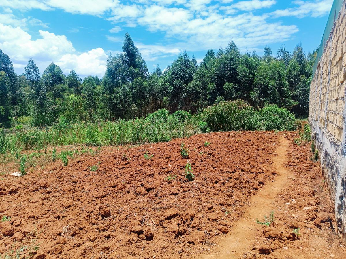 Verified 50 X 100 Ft Plot Available -- Title Deed Ready  Kes 4m, Beverly Gardens Estate, Jambu Tv, Gikambura, Kikuyu, Kiambu, Residential Land for Sale
