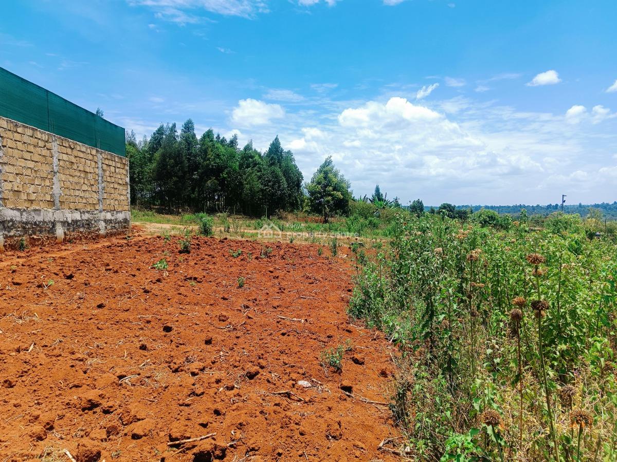 Verified 50 X 100 Ft Plot Available -- Title Deed Ready  Kes 4m, Beverly Gardens Estate, Jambu Tv, Gikambura, Kikuyu, Kiambu, Residential Land for Sale