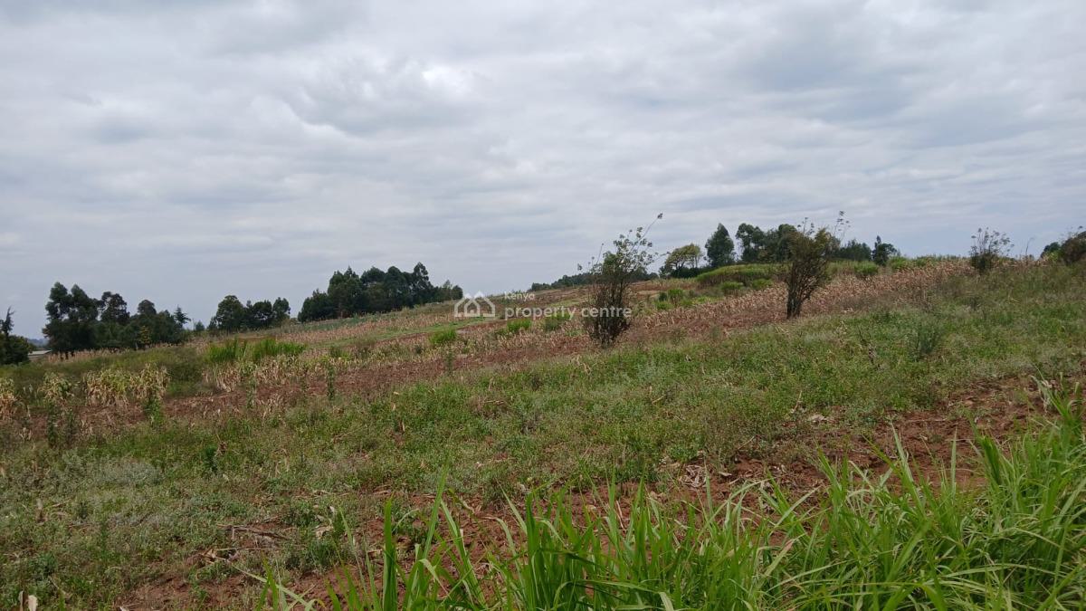Ready to Build 50 By 100ft Plot in a Developed Neighborhood, Kamangu, Kikuyu, Kiambu, Land for Sale