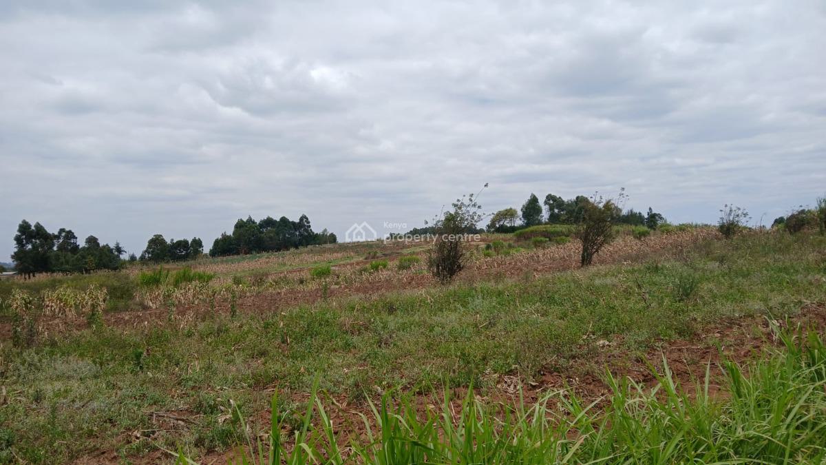 Ready to Build 50 By 100ft Plot in a Developed Neighborhood, Kamangu, Kikuyu, Kiambu, Land for Sale