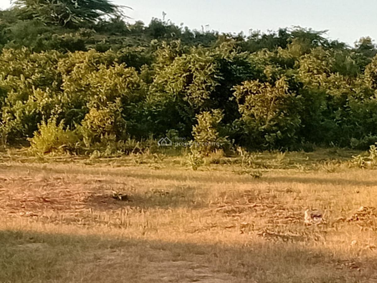 Prime 50 X 100 Meter Plots  --- Lamu Road, Sabaki Bridge  Mkaazi, Sabaki Bridge, Malindi Town, Kilifi, Land for Sale