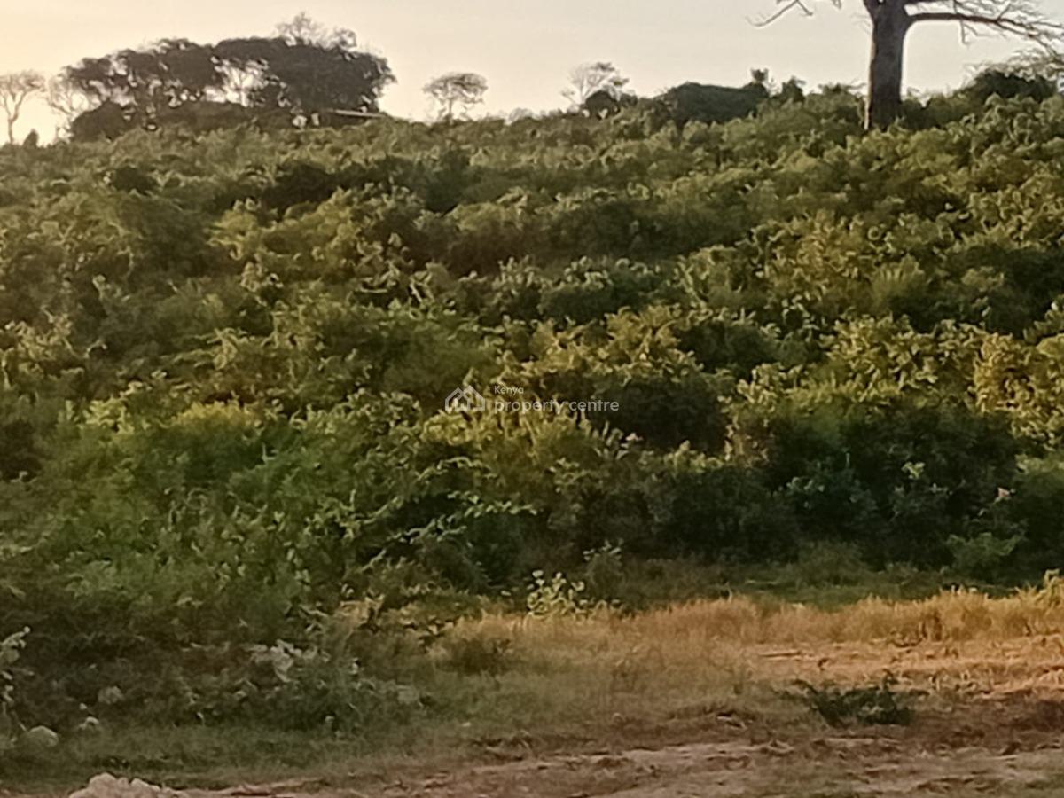 Prime 50 X 100 Meter Plots  --- Lamu Road, Sabaki Bridge  Mkaazi, Sabaki Bridge, Malindi Town, Kilifi, Land for Sale