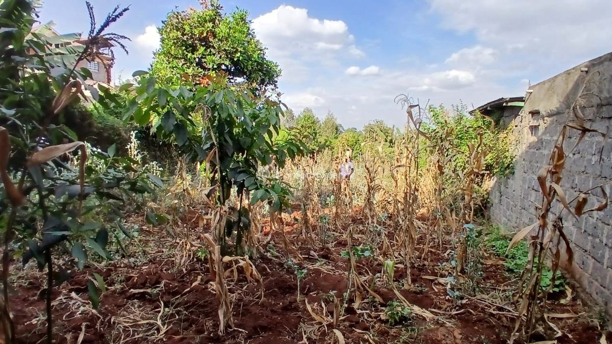Ready to Build  50 By 100ft Commercial Plot in a Developed Area, Thogoto, Kikuyu, Kiambu, Land for Sale
