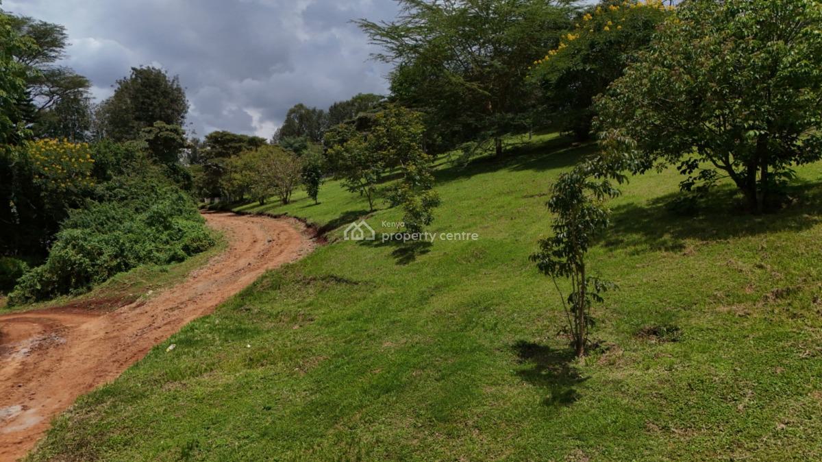 Ngong 1/4 Acre Serviced Plots, Masai Road, Ngong, Kajiado, Residential Land for Sale