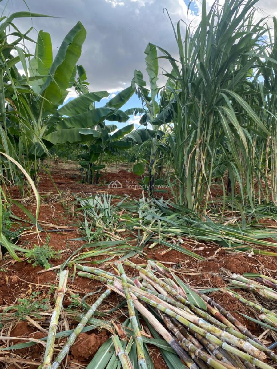 Prime 50 Acres Land for Farming Touching The River, Embu, Mbeere North, Gaturi North, Embu, Mixed-use Land for Sale