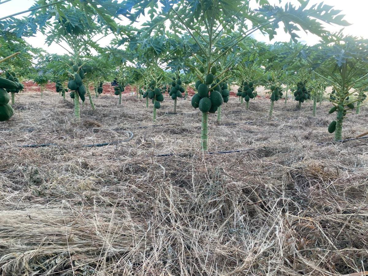 Prime 50 Acres Land for Farming Touching The River, Embu, Mbeere North, Gaturi North, Embu, Mixed-use Land for Sale