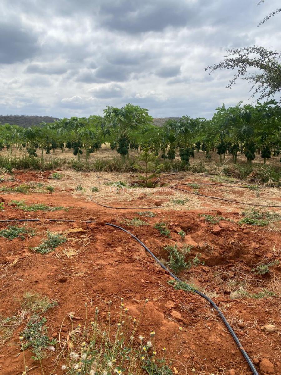 Prime 50 Acres Land for Farming Touching The River, Embu, Mbeere North, Gaturi North, Embu, Mixed-use Land for Sale