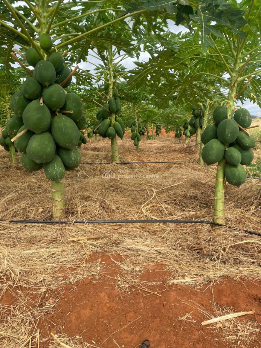 Prime 50 Acres Land for Farming Touching The River, Embu, Mbeere North, Gaturi North, Embu, Mixed-use Land for Sale