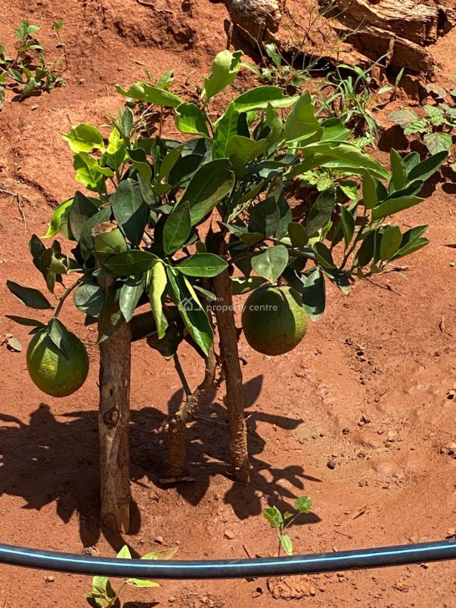 Prime 50 Acres Land for Farming Touching The River, Embu, Mbeere North, Gaturi North, Embu, Mixed-use Land for Sale