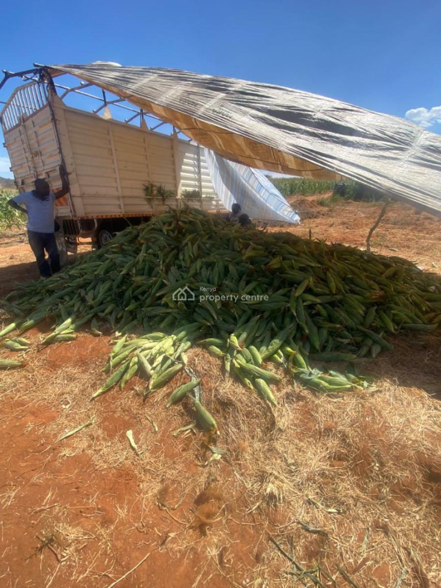 Prime 50 Acres Land for Farming Touching The River, Embu, Mbeere North, Gaturi North, Embu, Mixed-use Land for Sale