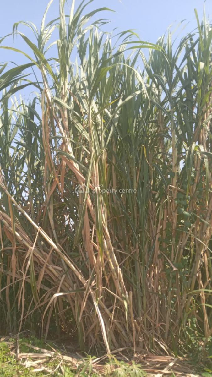 Prime 50 Acres Land for Farming Touching The River, Embu, Mbeere North, Gaturi North, Embu, Mixed-use Land for Sale
