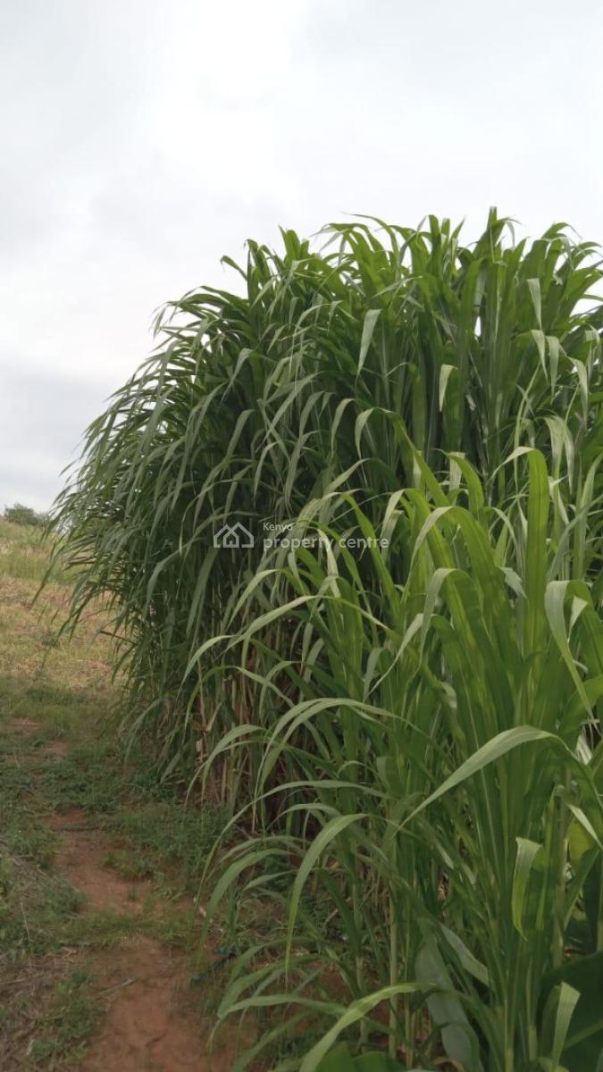 Prime 50 Acres Land for Farming Touching The River, Embu, Mbeere North, Gaturi North, Embu, Mixed-use Land for Sale