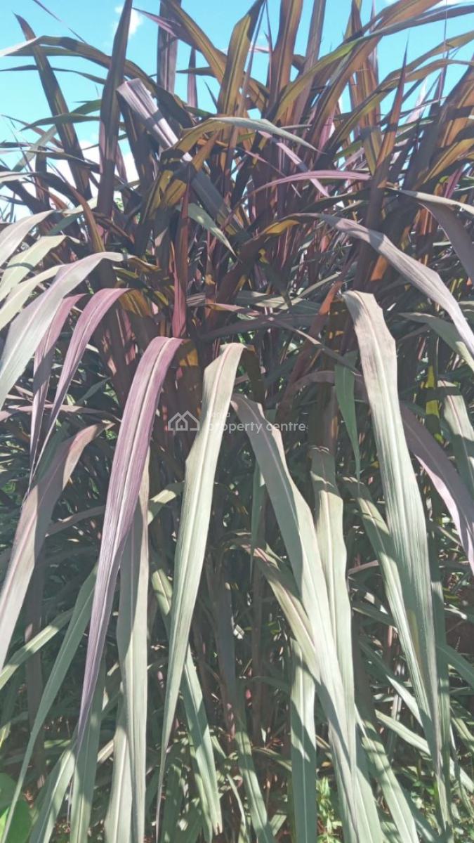 Prime 50 Acres Land for Farming Touching The River, Embu, Mbeere North, Gaturi North, Embu, Mixed-use Land for Sale