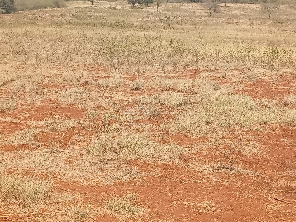 Land in Entarara Rombo Loitokitok 167 Acre @ of Mt Kilimanjaro, Entarara Rombo Loitokitok, Rombo, Kajiado, Land for Sale