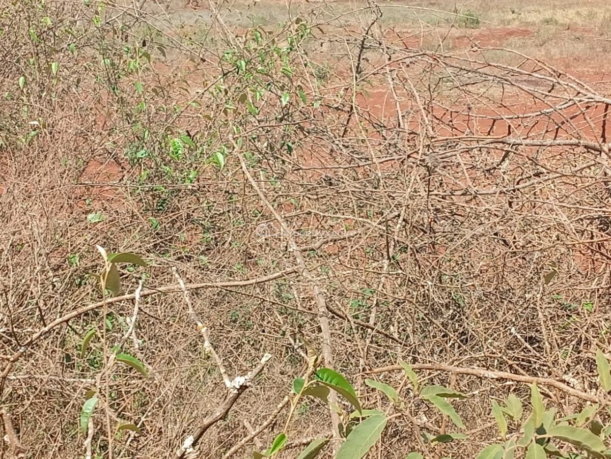 Land in Entarara Rombo Loitokitok 167 Acre @ of Mt Kilimanjaro, Entarara Rombo Loitokitok, Rombo, Kajiado, Land for Sale