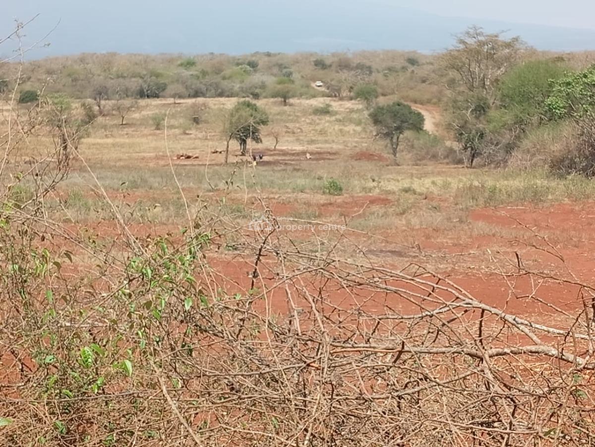 Land in Entarara Rombo Loitokitok 167 Acre @ of Mt Kilimanjaro, Entarara Rombo Loitokitok, Rombo, Kajiado, Land for Sale