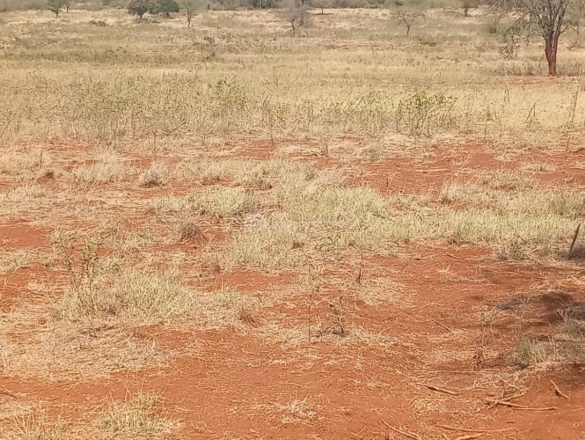 Land in Entarara Rombo Loitokitok 167 Acre @ of Mt Kilimanjaro, Entarara Rombo Loitokitok, Rombo, Kajiado, Land for Sale