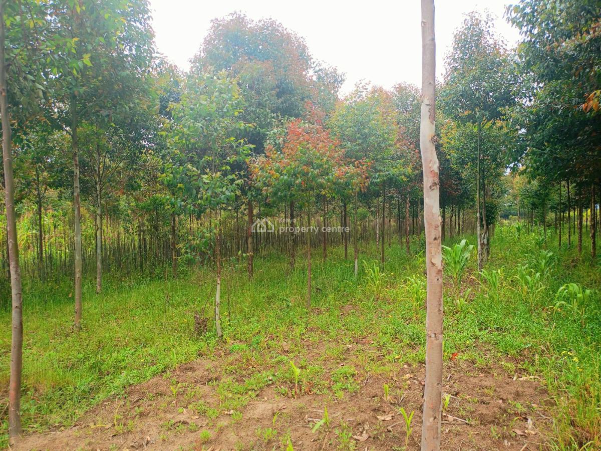 Nyandarua 10 Acres Land, Engineer Road, Engineer, Nyandarua, Residential Land for Sale