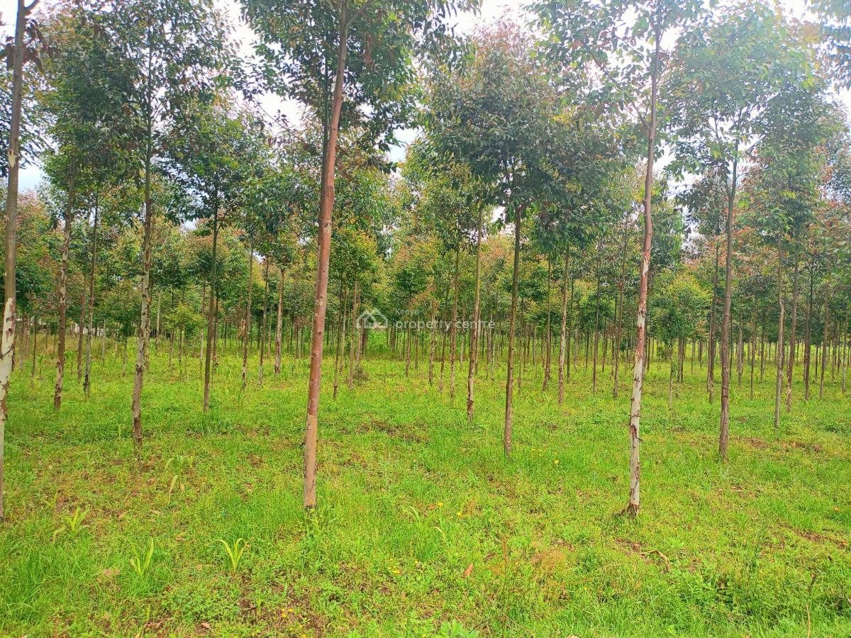 Nyandarua 10 Acres Land, Engineer Road, Engineer, Nyandarua, Residential Land for Sale