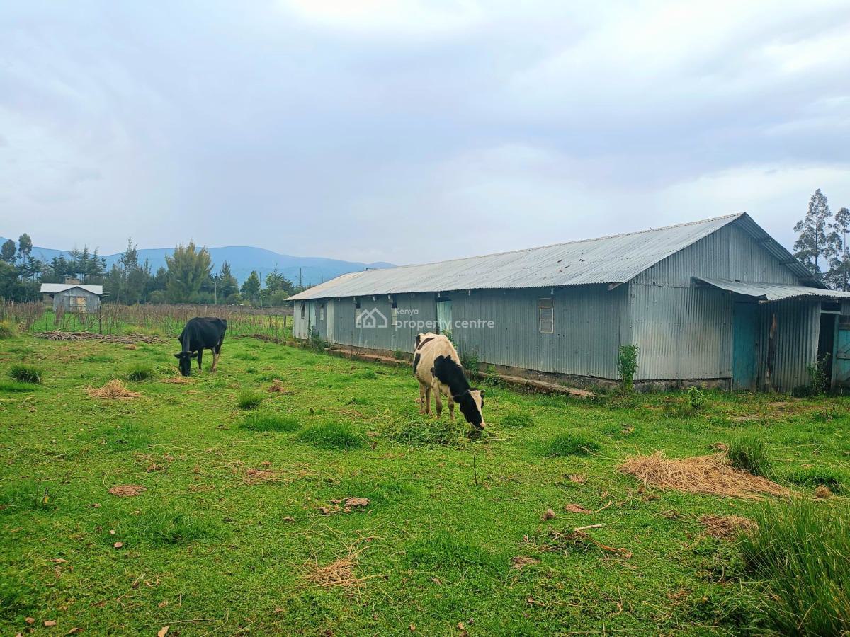 Nyandarua 10 Acres Land, Engineer Road, Engineer, Nyandarua, Residential Land for Sale